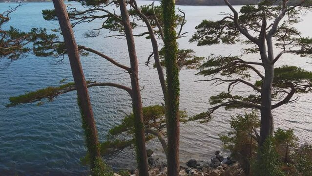 View of beautiful countryside in the Scottish highland with mountains, trees and sea