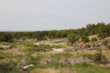 Fototapeta na wymiar Afrikanischer Busch - Krügerpark - Nhlanganinii River / African Bush - Kruger Park - Nhlanganinii River /
