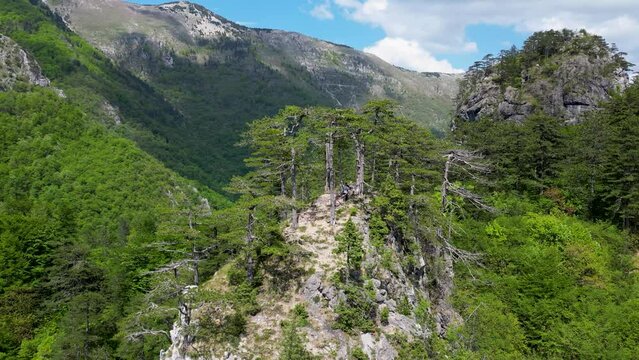 Aerial view of the beautiful viewpoint Zlijeb on Cvrsnica mountain in Bosnia and Herzegovina. Beautiful viewpoint surrounded by green trees and mountains.
