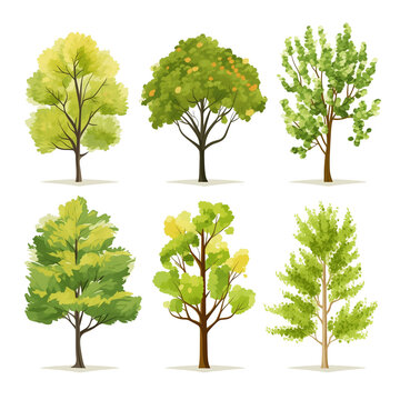 Green tree spring plant birch oak icons set on white background Ai generated image