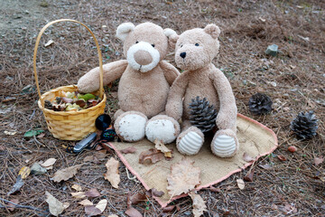 Teddy bear couple on picnic in the forest