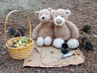 Two teddy bears on picnic in the forest