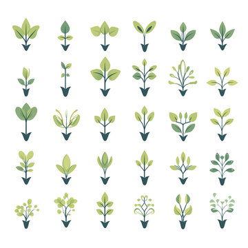 Organic sprout simple color flat icons set on white background, Ai generated image