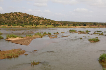 Afrikanischer Busch - Krügerpark - Olifants River / African Bush - Kruger Park - Olifants River /