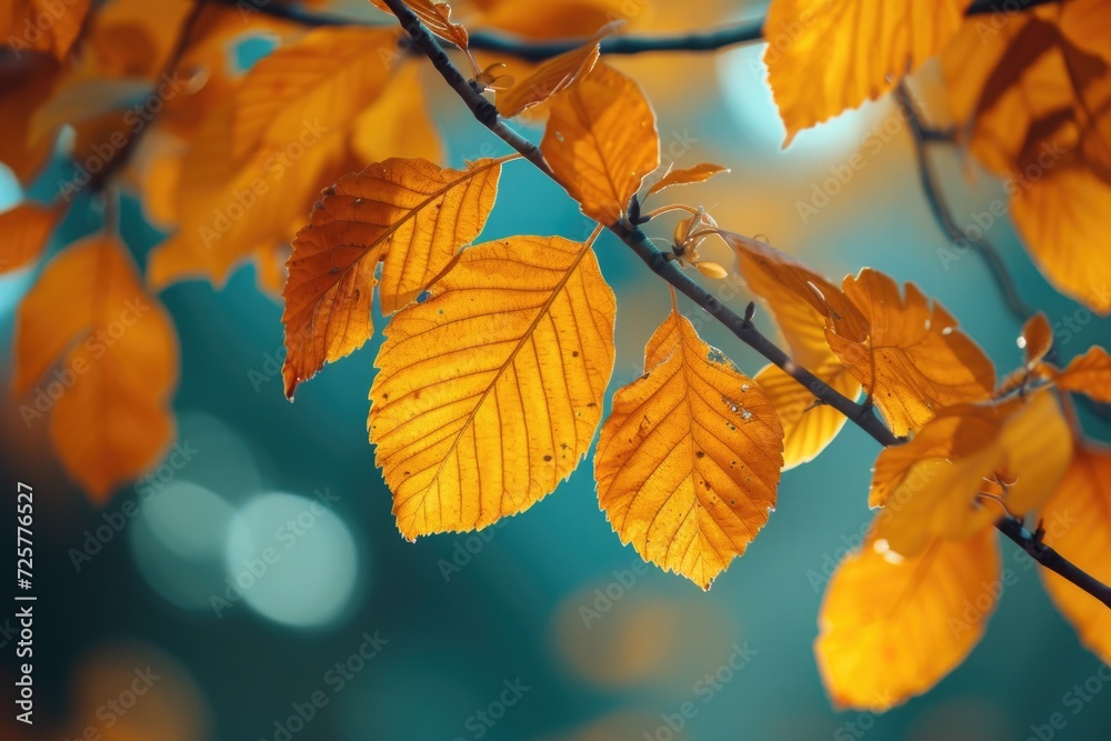 Poster a detailed close-up view of a branch adorned with vibrant yellow leaves. perfect for autumn-themed d