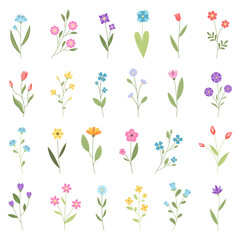 A set of summer and spring flowers. Vector illustration.