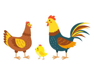 Rooster with hen and chick. Cute chicken family on the farm. Vector illustration.