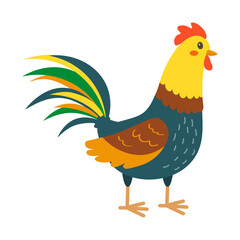 Colorful rooster. Domestic bird. Vector illustration.