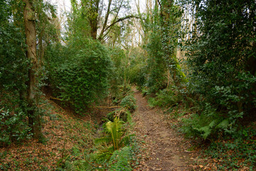 La rivière du Trieux près de Pontrieux - Bretagne France