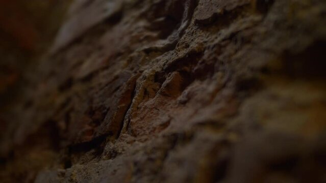 Close-up of an old brick wall in a slow motion.