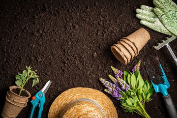 Garden tools and plants on a soil background. Spring garden works concept.