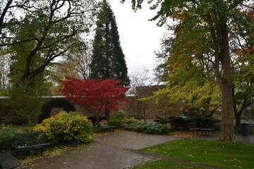 Autumn colors in the park in Siegen; Germany; North Rhine Westphalia
