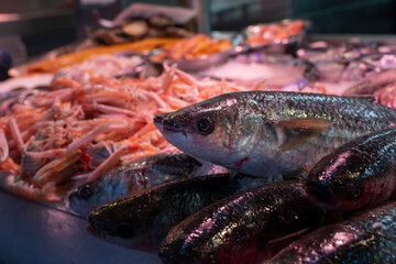Fresh fish close-up on ice at the counter