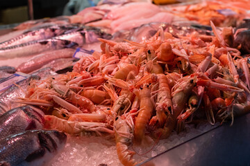 Large shrimp on ice in fish store display