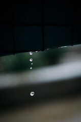 close up shot of rain drops