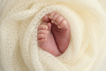 The tiny foot of a newborn baby. Soft feet of a new born in a wool white blanket. Close up of toes,...