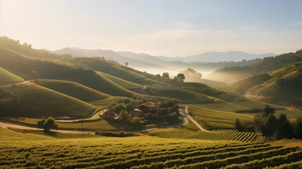 Gordijnen  Picturesque scenes of sunlit terraced vineyards along rolling hills, blending agriculture with natural contours and creating a serene countryside landscape © Abdul