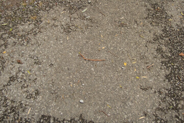 asphalt in nature on a route