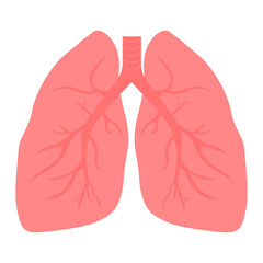 Human lungs icon. Vector illustration.
