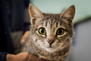 Preparation for Surgery