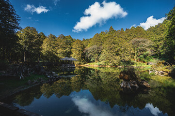 Sister Water Pond the Alishan Nature Trail, adding a touch of allure to the Alishan National Scenic Areaa mountain resort and nature reserve nestled in Alishan Township