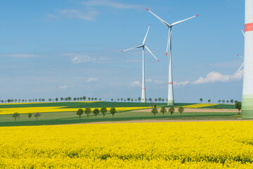 Wind park in the picturesque landscape between rapeseed fields and a few trees