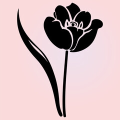 Tulip flower silhouette. Hand drawing decorative tulip flower. Decoration for fabric, wrapping, wallpaper