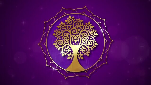 Video animation gold tree of life, sacred geometry. Golden Lotus flower in the moving purple space background. Loop Animation. Meditative Mandala of Bodhi's tree