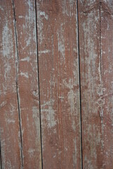 Old, long-painted wood with brown paint. Worn wooden gray planks with peeling paint. Gray old, aged, beautiful, shabby wooden background, made from natural wood, timber.