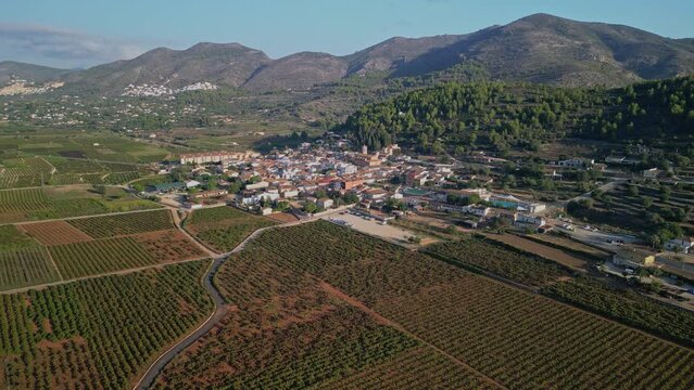 Landscape of grape fields at Lliber, Alicante, Costa Blanca - stock photo