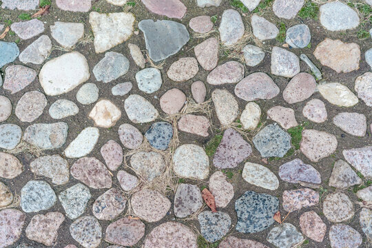 Cobbles stones close up and green grass in it seams on urban cobblestoned pavement, overhead view