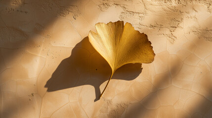 Ginkgo in the Light - Nature's Simplicity
