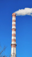 The tall pipe of the plant from which white smoke is coming against the background of the blue sky