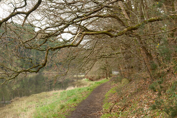 La rivière du Trieux près de Pontrieux - Bretagne France