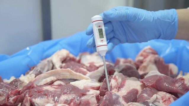 Meat Processing Plant Industry 4K 07