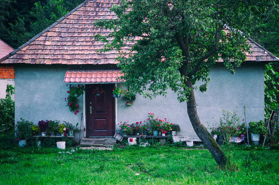 a house in the country, flowers and trees