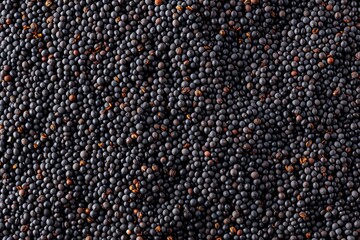 Top view background or texture of dry black mustard seeds Healthy spices nuts seeds and herbs - obrazy, fototapety, plakaty