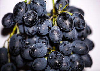 Black grape isolate. Black grape with leaves on white background. Blue grapes isolated on white. Clipping path. Full depth of field.