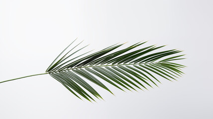 Gałązka palmy - Niedziela Palmowa. Symbol wjazdu Jezusa do Jerozolimy. Chwała Panu - obrazy, fototapety, plakaty