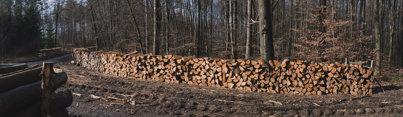 Holzeinschlag Forstarbeit, Marburg, Holzpolter