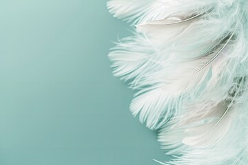 Soft focus fashion color trends for spring summer 2016 Pale teal blue background with white fluffy feathers - obrazy, fototapety, plakaty