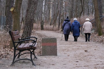 Three old women on walk along avenue of trees in autumn day. Brzezno, Baltic Sea, Gdansk, Poland
