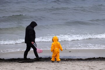 Little child in a yellow waterproof warm suit and his father are looking for abmer on the beach by the sea. Baltic Sea, Poland