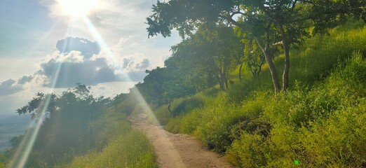 Nature's Palette Unveiled: Adobe Stock Images for Breathtaking Landscapes and Tranquil Vistas
