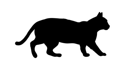 silhouette of a walking cat - vector illustration