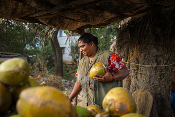 Exotic Street Market Featuring Indian Coconut Stall