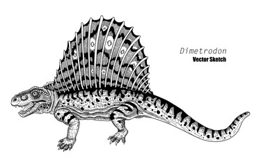Dimetrodon. Dinosaur sketch drawing. Black and white. Hand drawn vector art. line art - 725833906