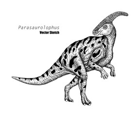 Parasaurolophus. Dinosaur sketch drawing. Black and white. Hand drawn vector art. line art - 725833945