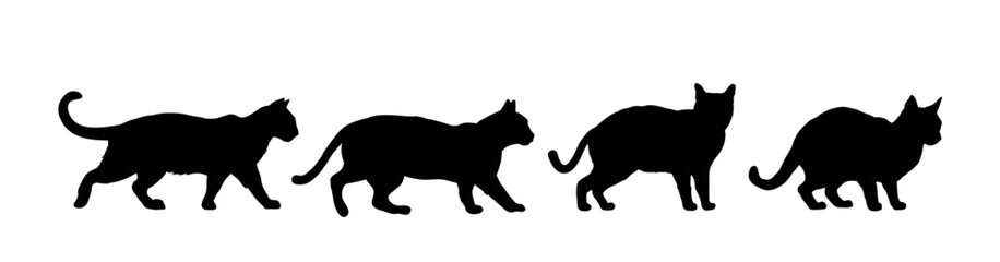 Set of cat silhouette  - vector illustration