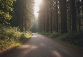 Fototapeta premium Beautiful tree lined road in the Tunnel of Trees on a drive through Emmet County from Harbor Springs